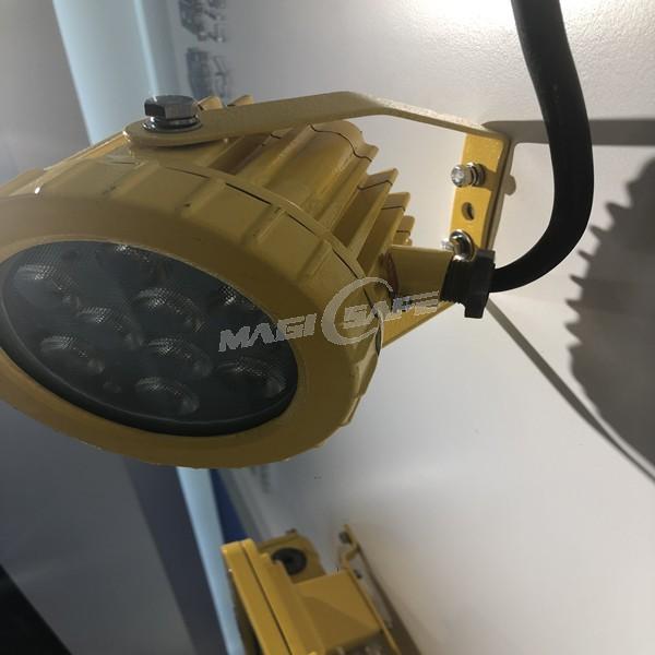 UL certificate Explosion proof LED Floodlights