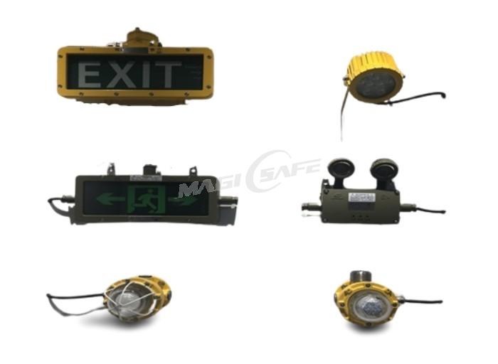 Explosion proof different LED lights